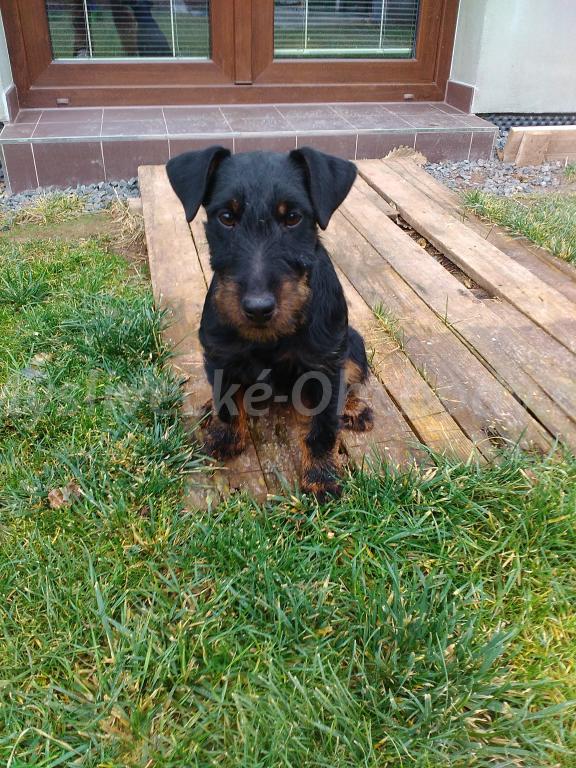 Foto v�robku