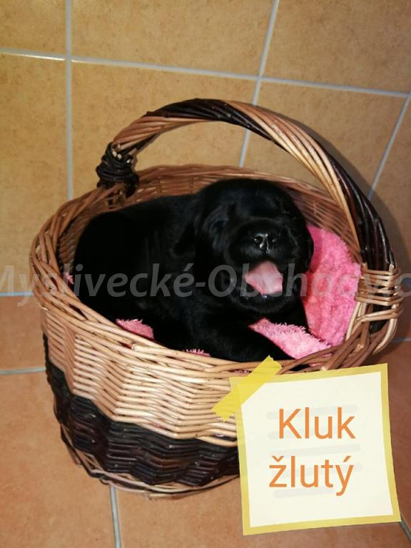 Foto v�robku