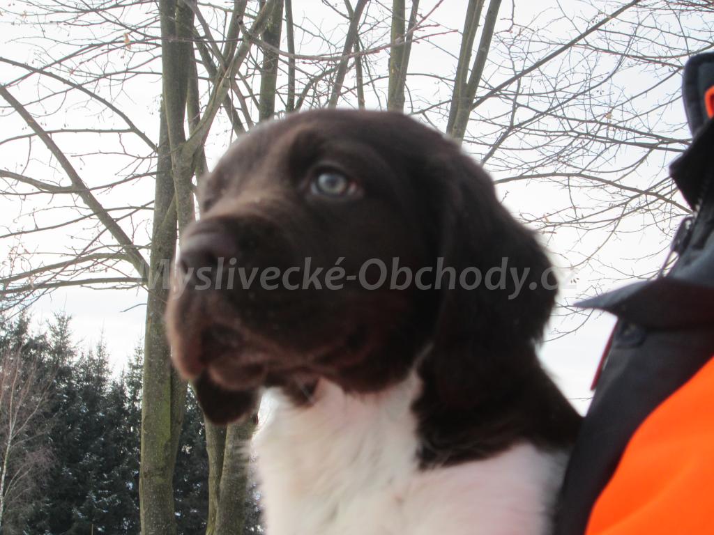 Foto v�robku