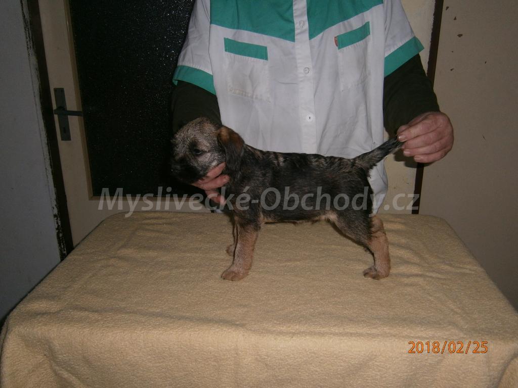 Foto v�robku