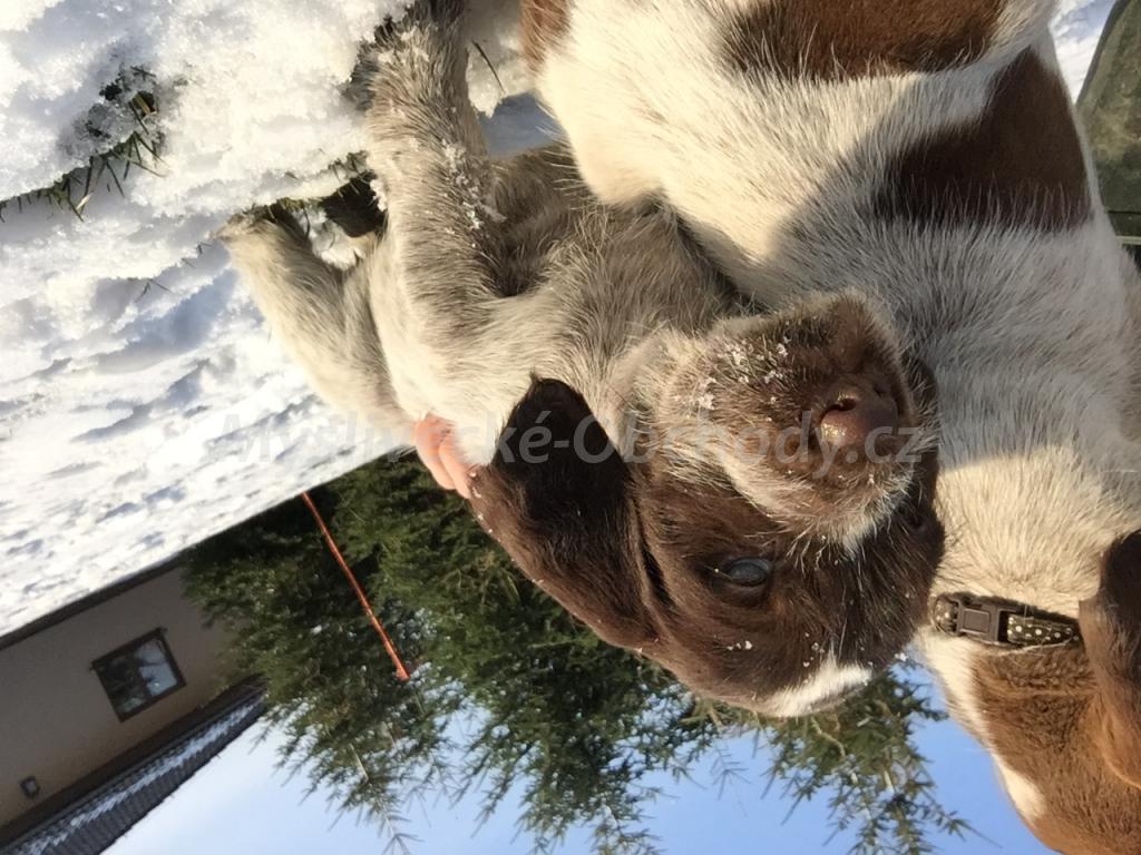 Foto v�robku