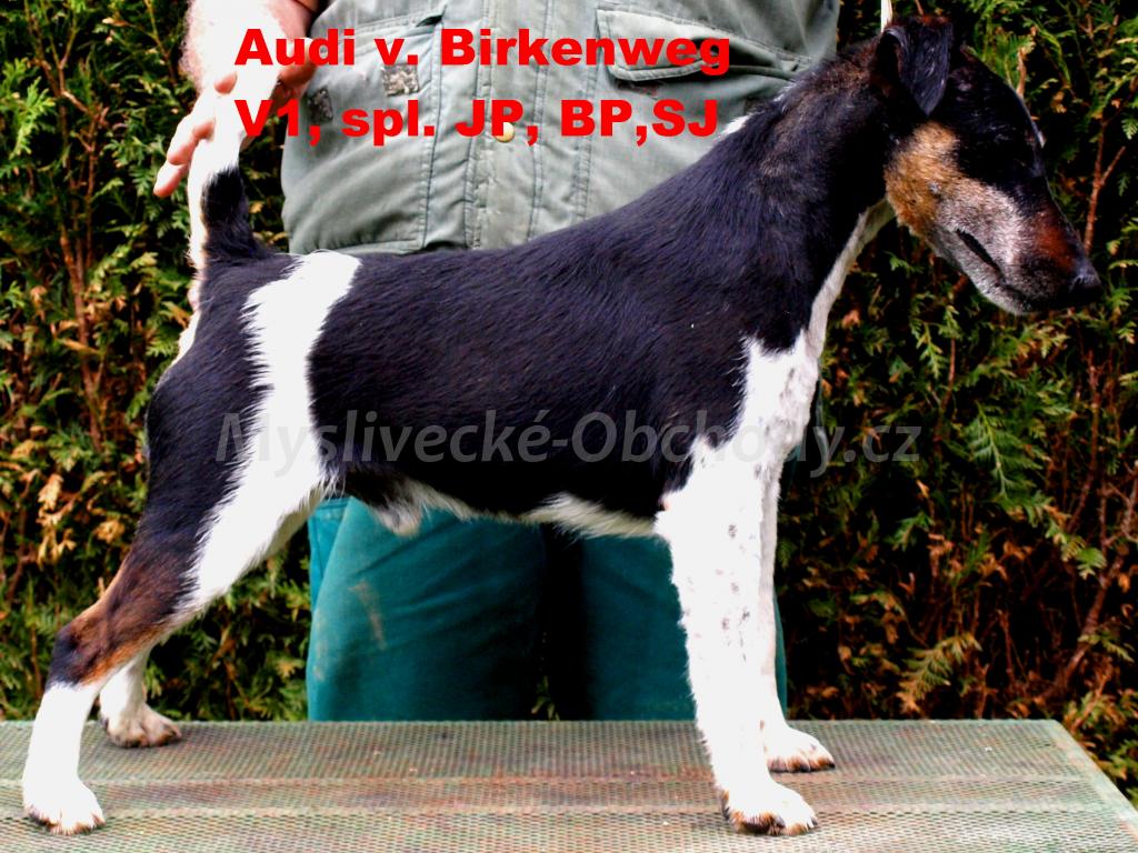 Foto v�robku
