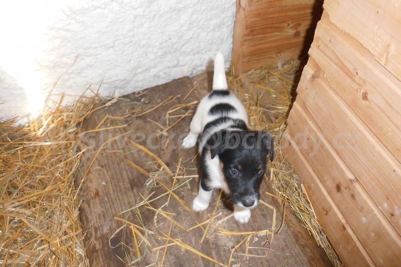 Foto v�robku