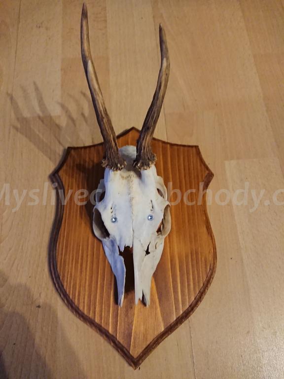 Foto v�robku