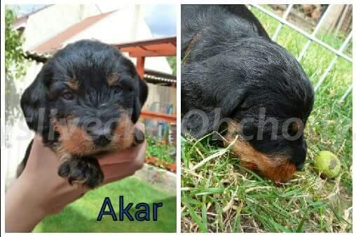 Foto v�robku