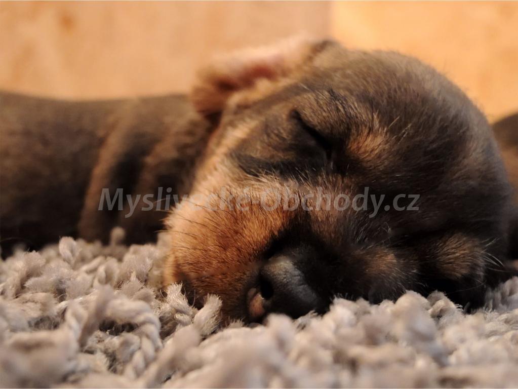 Foto v�robku