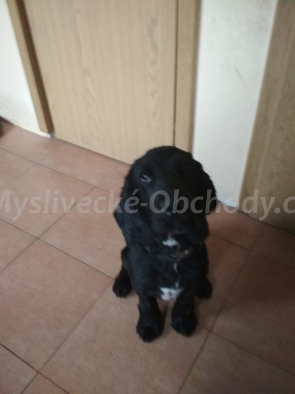 Foto v�robku