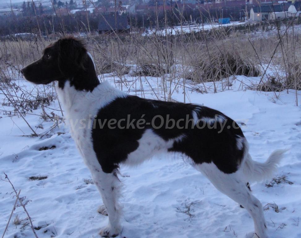 Foto v�robku