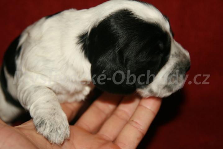 Foto v�robku