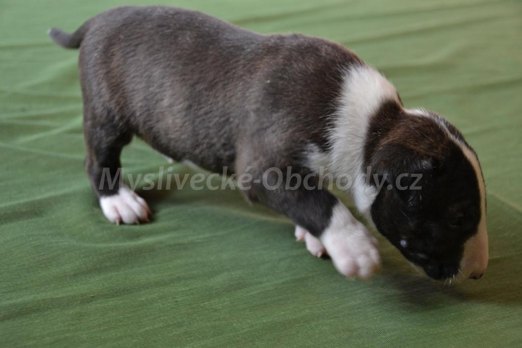 Foto v�robku
