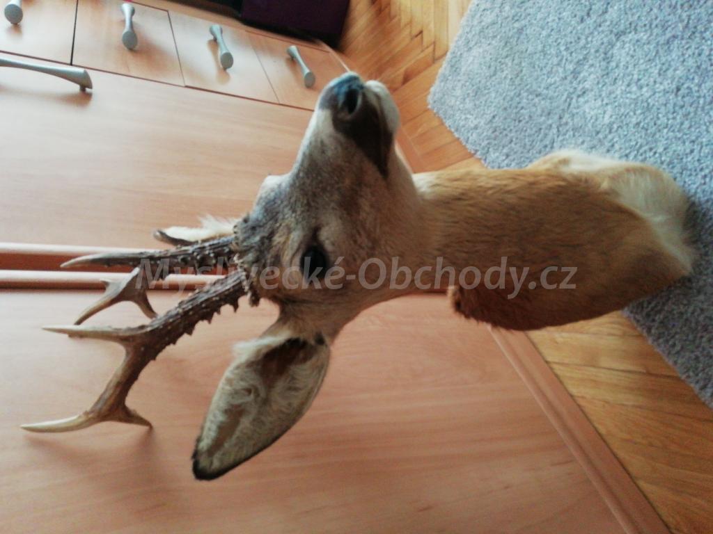 Foto v�robku