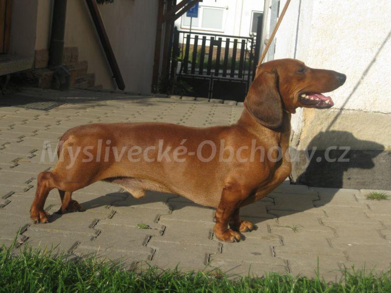 Foto v�robku