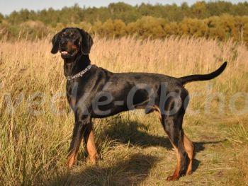 Foto v�robku