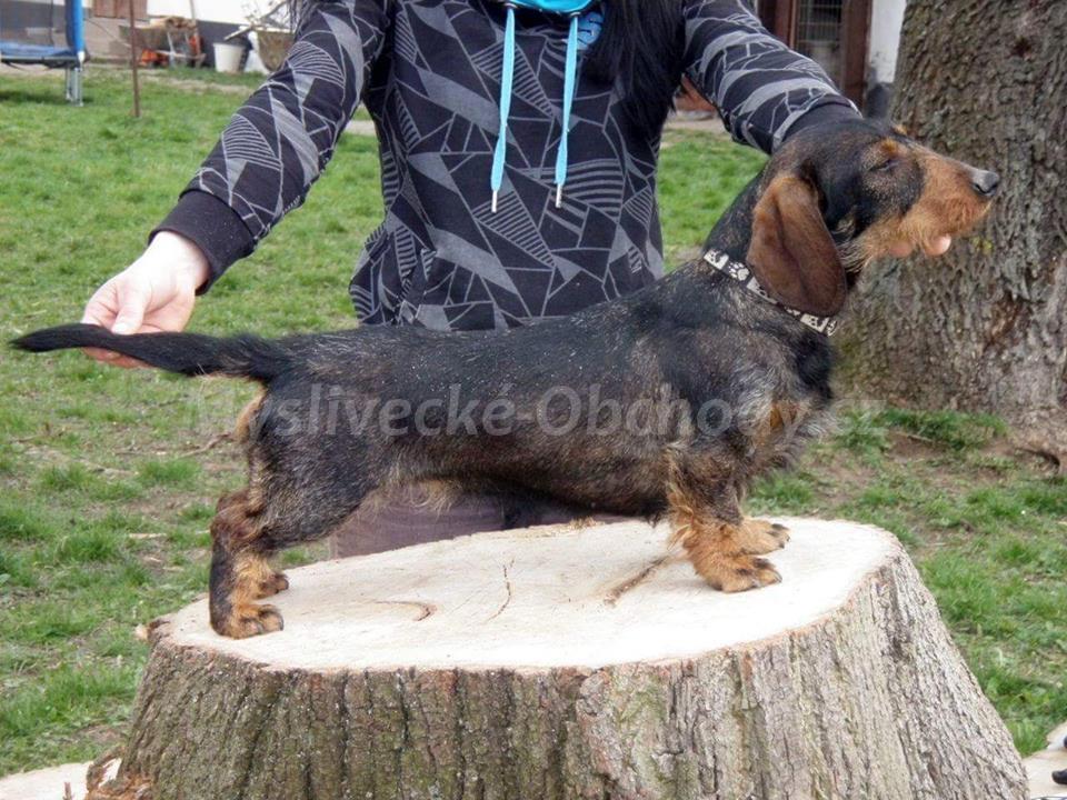 Foto v�robku