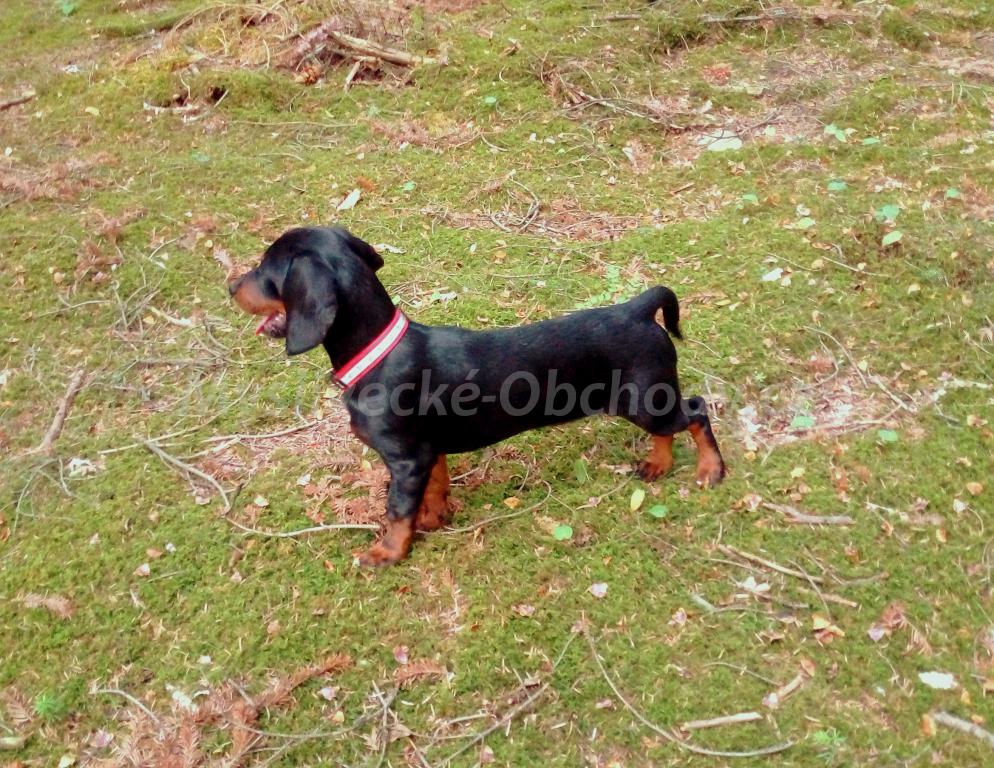Foto v�robku