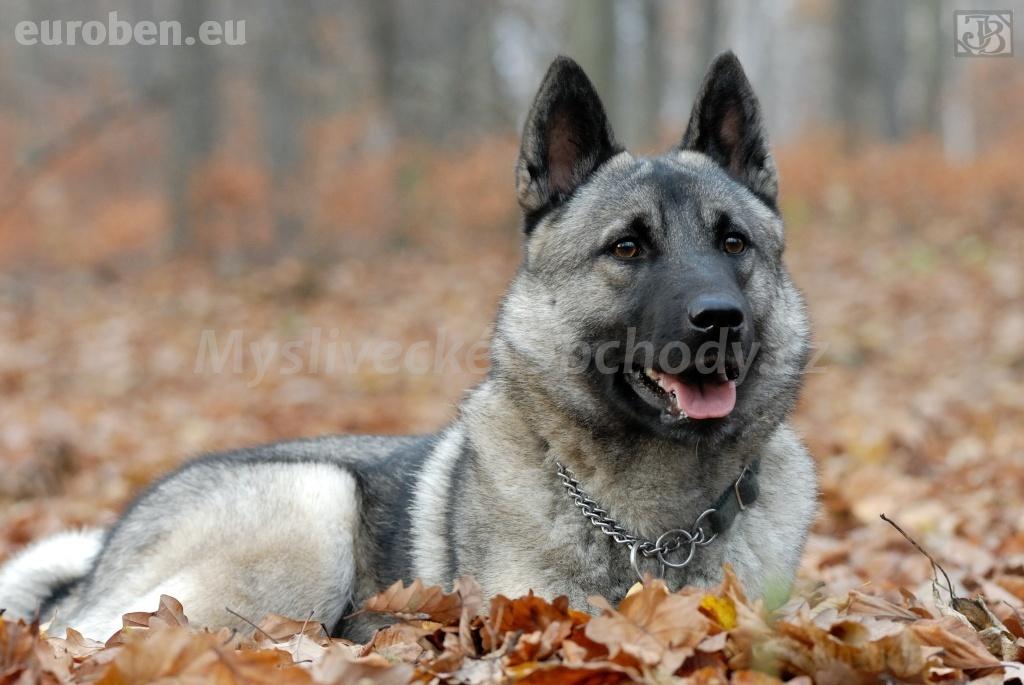 Foto v�robku
