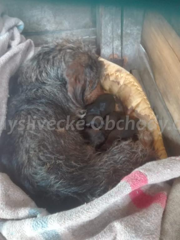 Foto v�robku