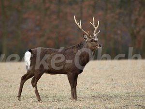 Foto v�robku