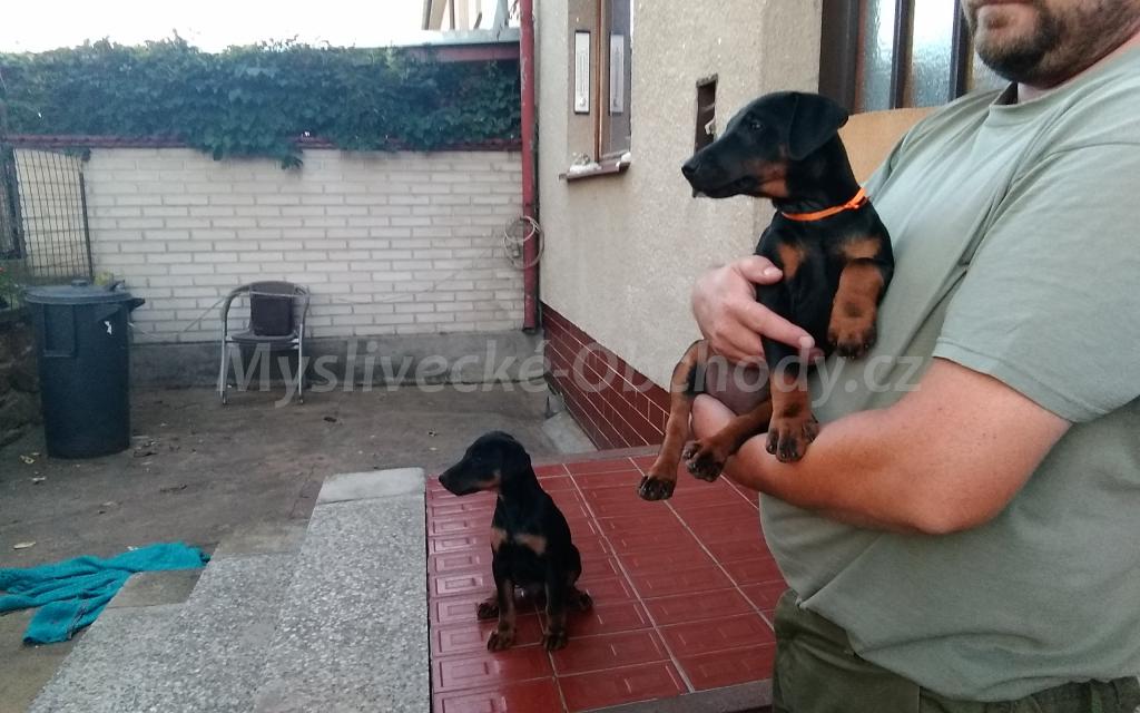 Foto v�robku