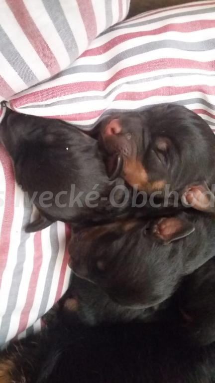 Foto v�robku
