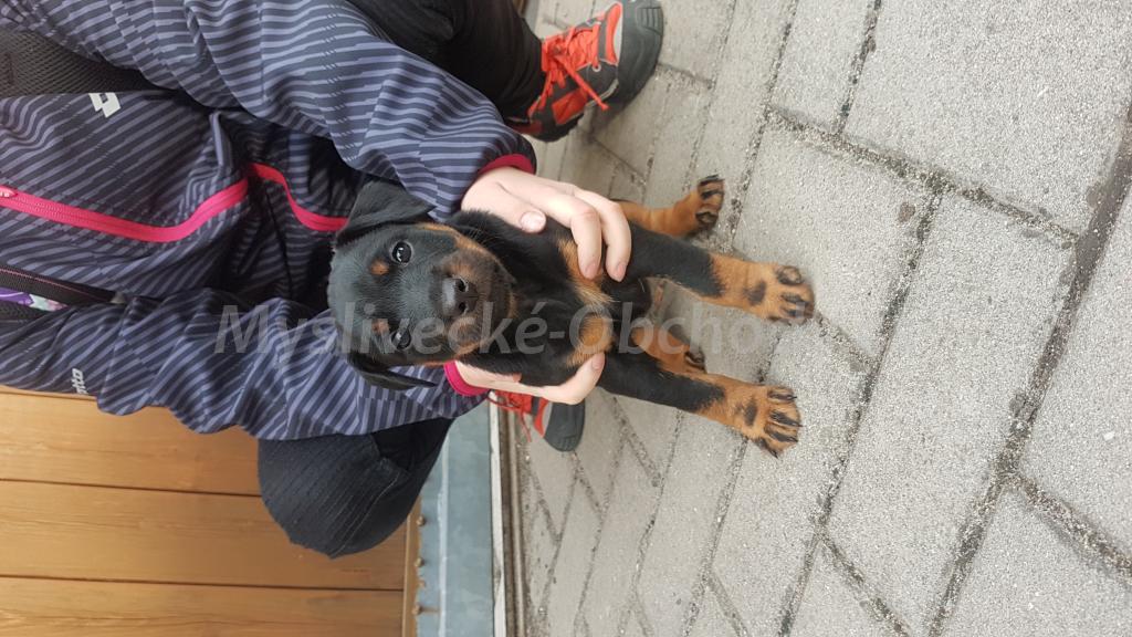 Foto v�robku