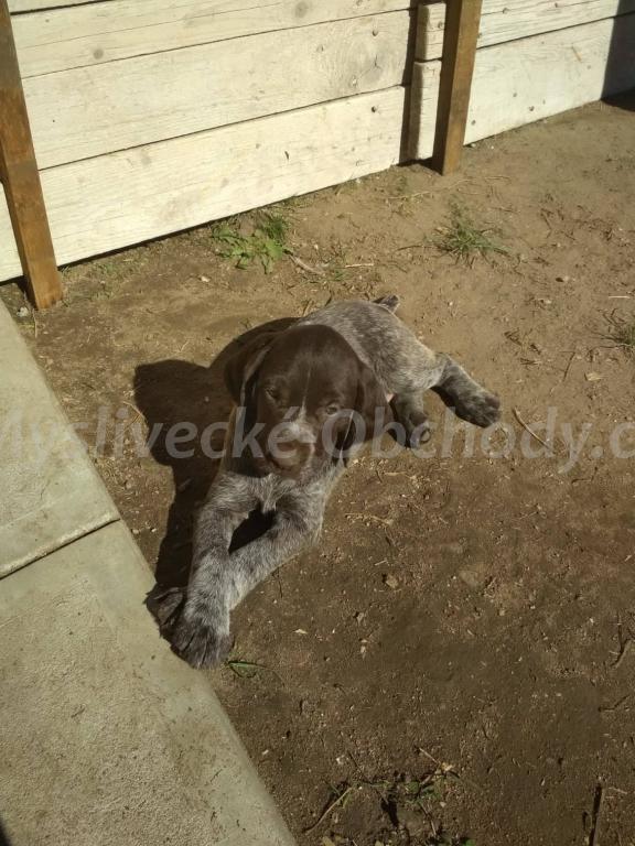 Foto v�robku