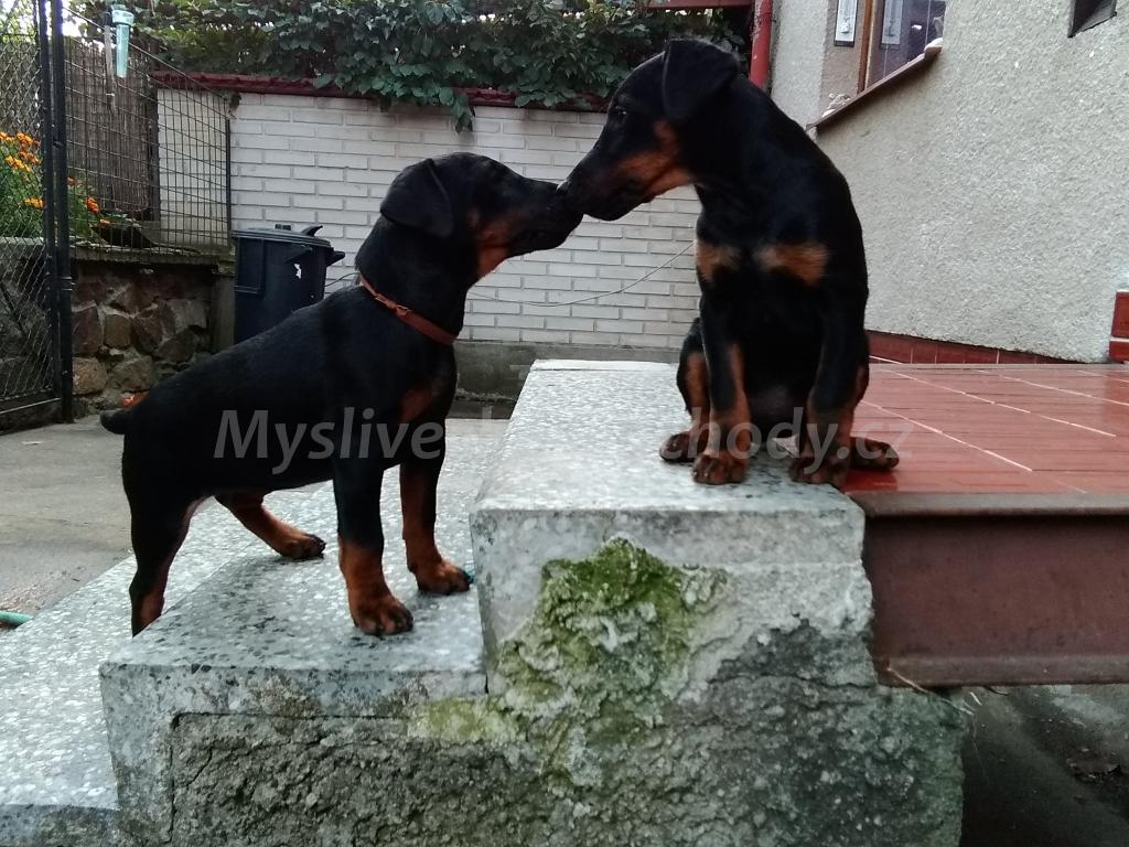 Foto v�robku