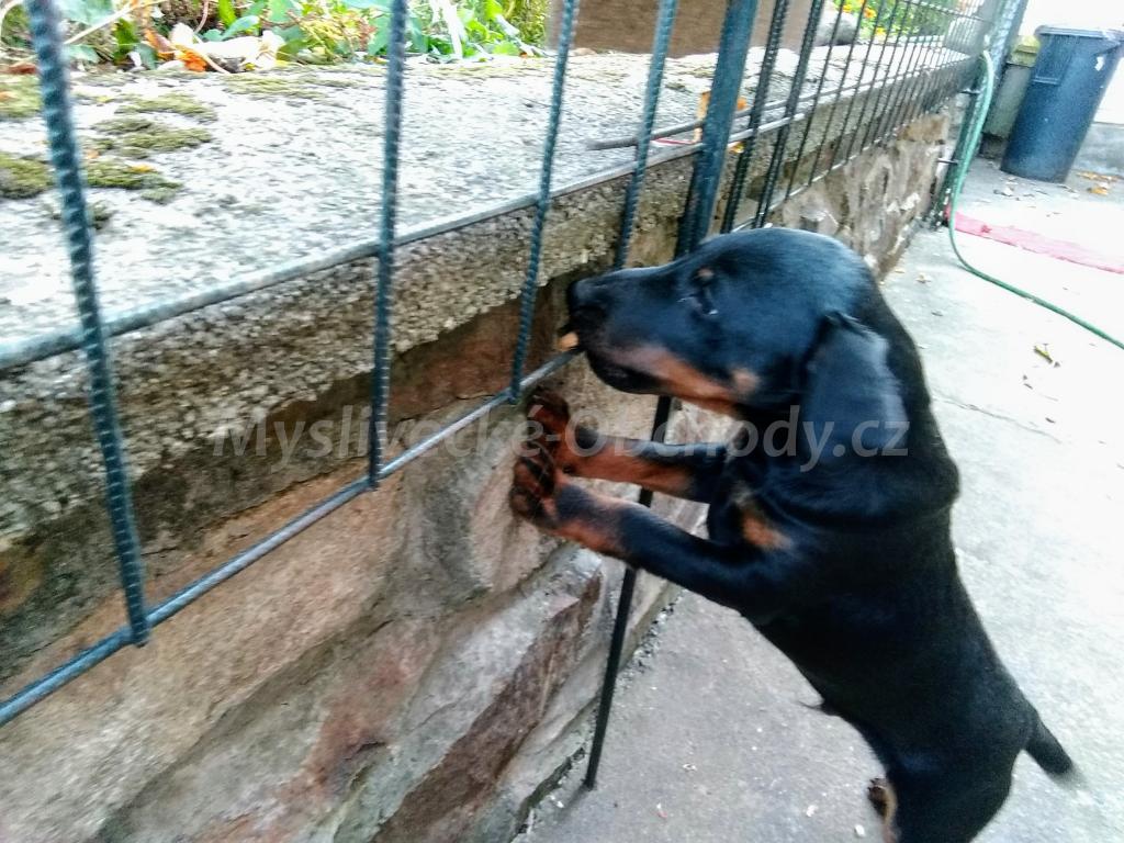 Foto v�robku