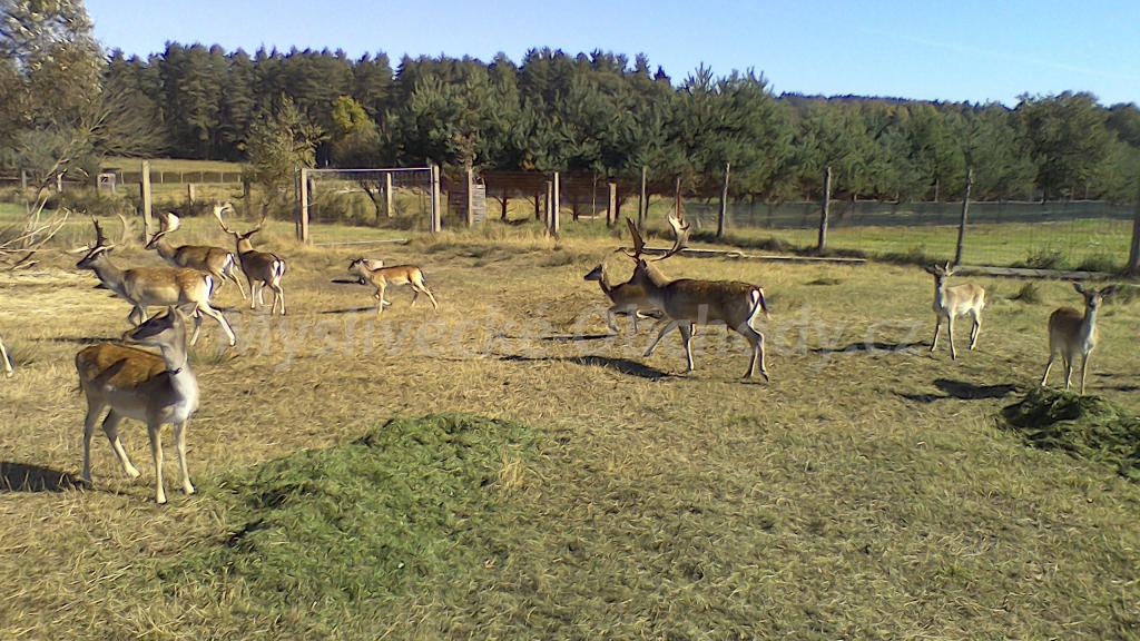 Foto v�robku