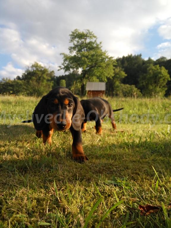 Foto v�robku