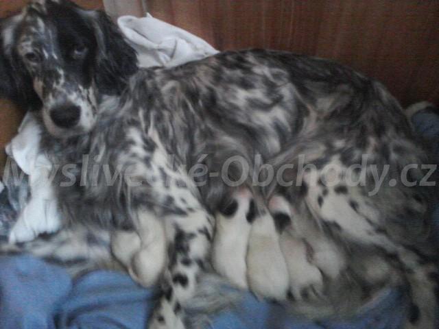 Foto v�robku