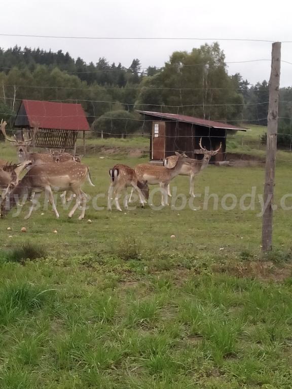 Foto v�robku