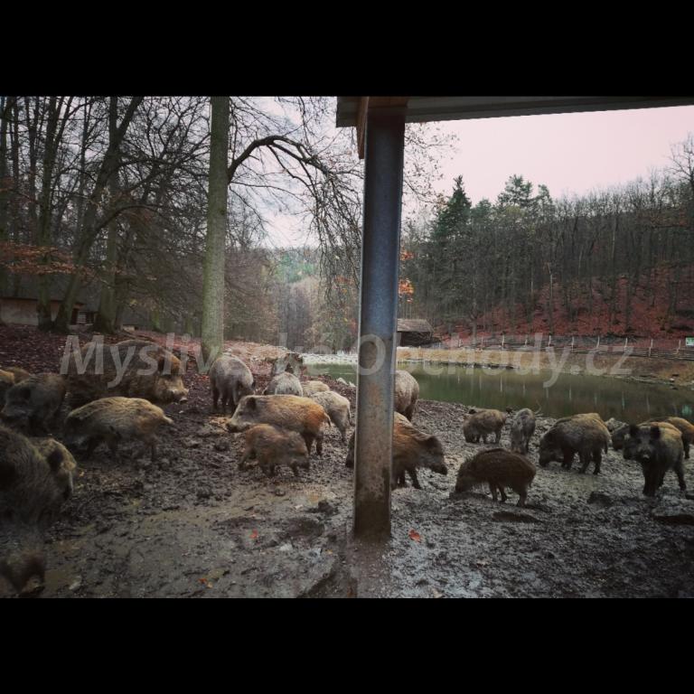Foto v�robku