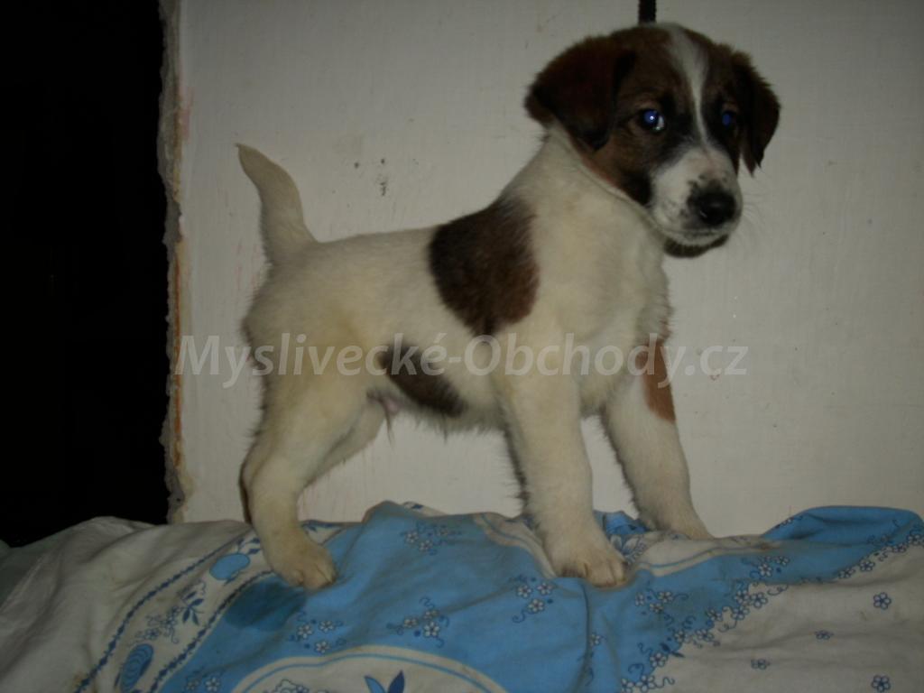 Foto v�robku