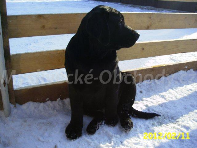 Foto v�robku