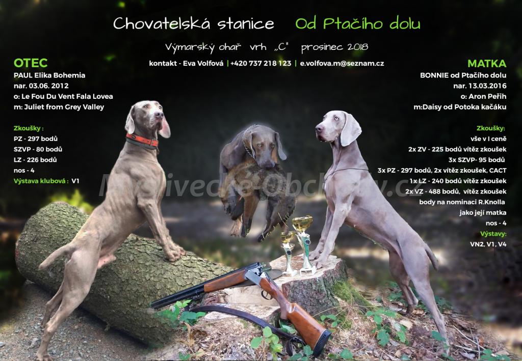 Foto v�robku