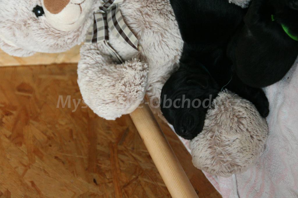 Foto v�robku