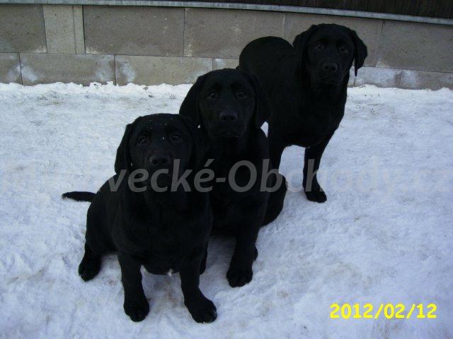 Foto v�robku