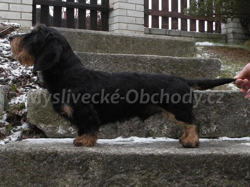 Foto v�robku