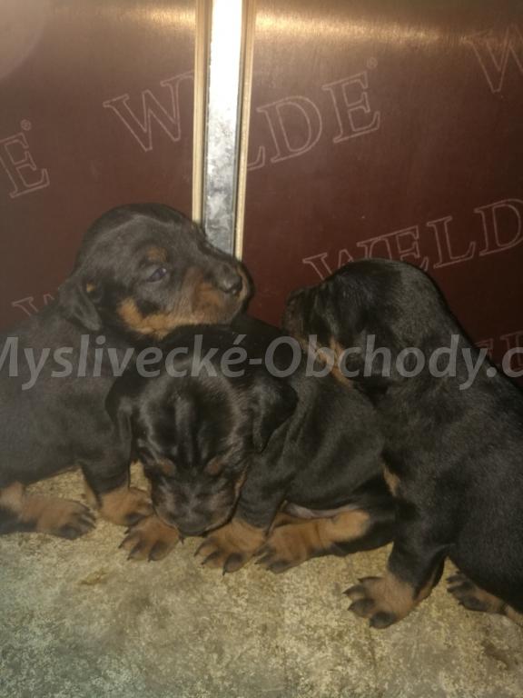 Foto v�robku