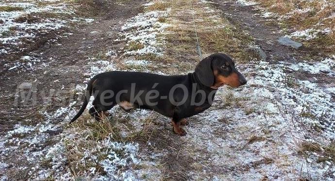 Foto v�robku