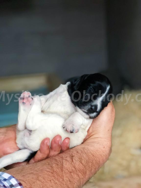 Foto v�robku