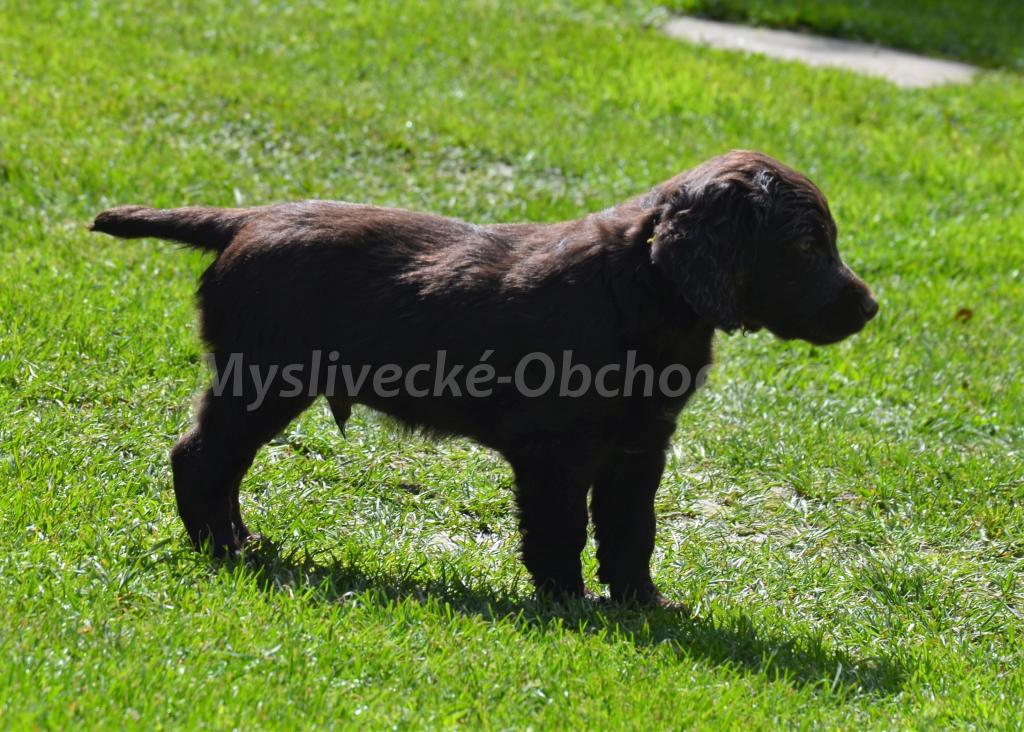 Foto v�robku