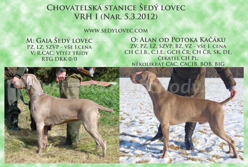 Foto v�robku