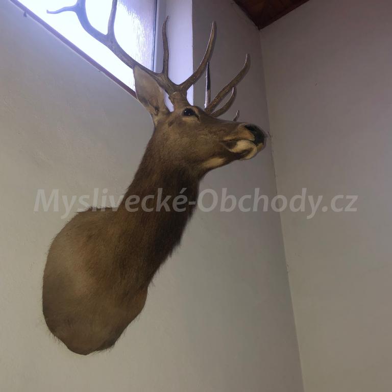 Foto v�robku
