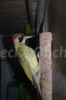 Foto v�robku