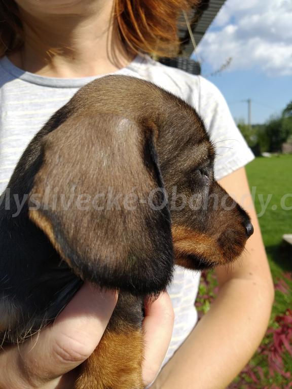 Foto v�robku