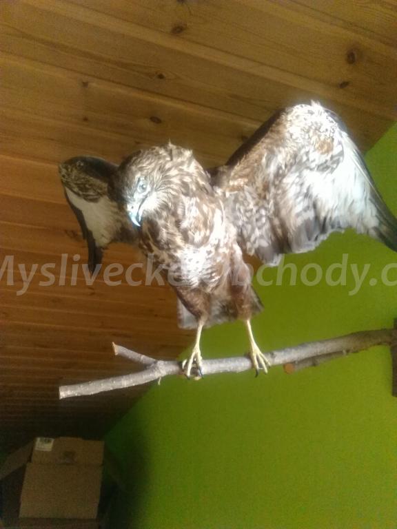 Foto v�robku