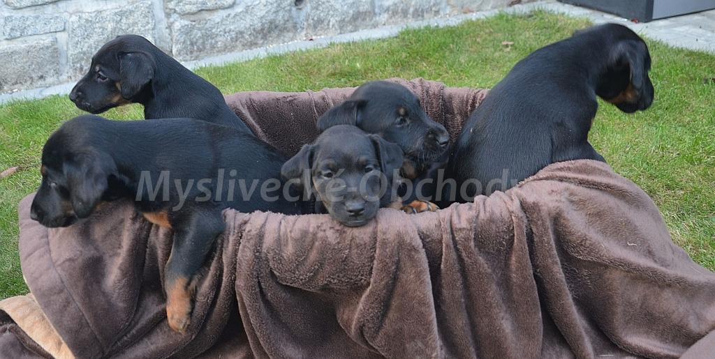 Foto v�robku