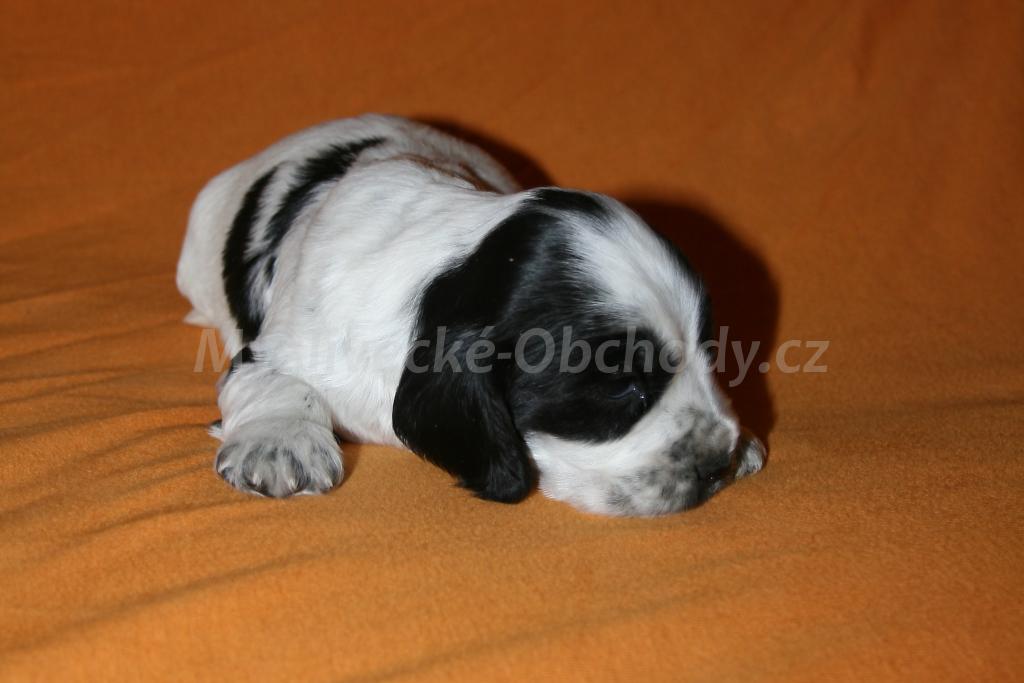 Foto v�robku